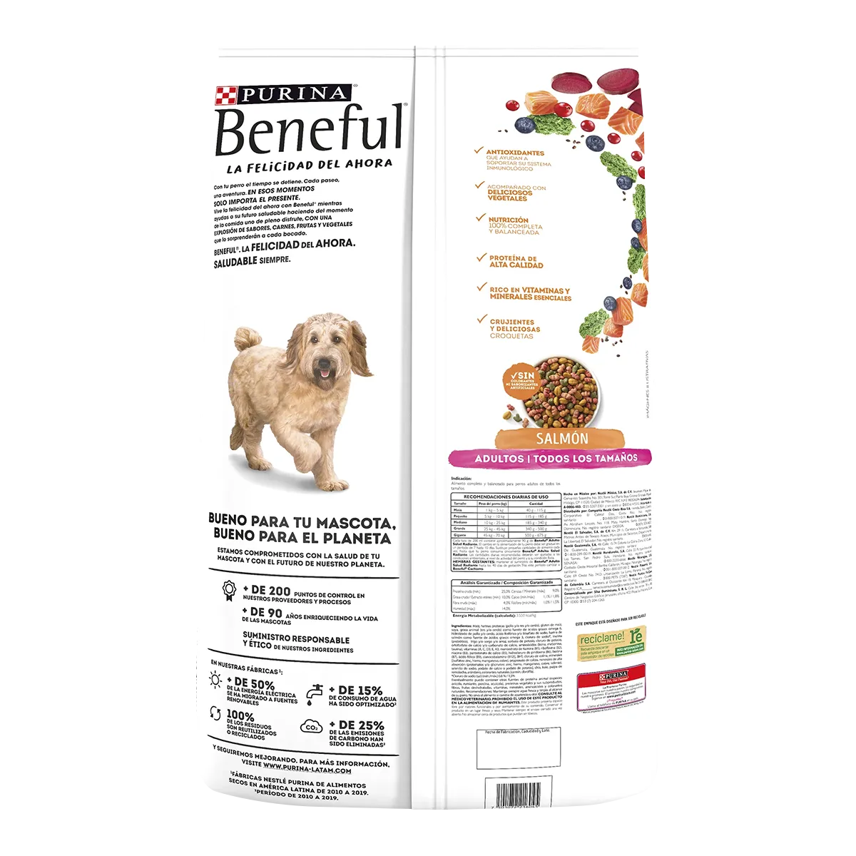 Beneful Adulto Salud Radiante